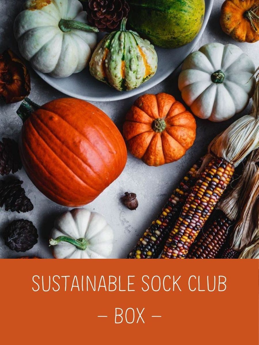 Sustainable Sock Club - Box