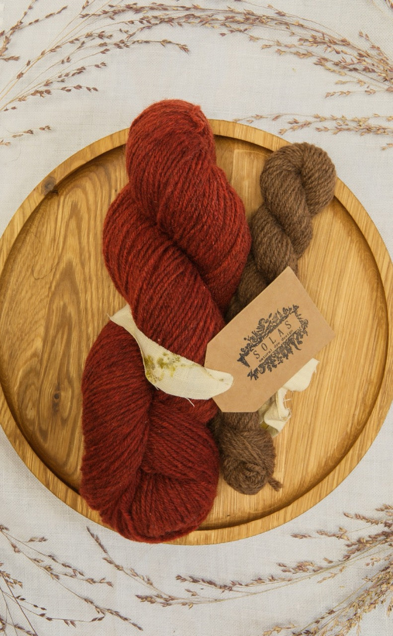 Studio Solas Organic Sock Set - Exclusive October Colorway