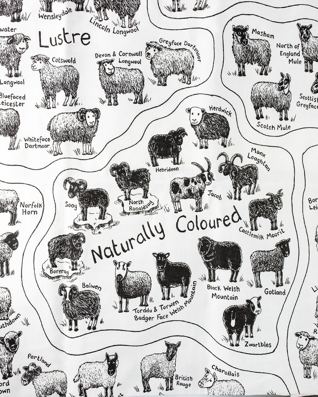 Tea Towel - British Sheep Breeds