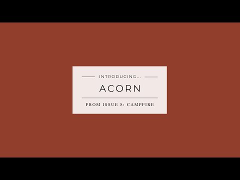 Acorn Stulpen