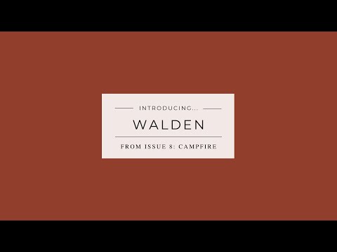 Walden - Socks